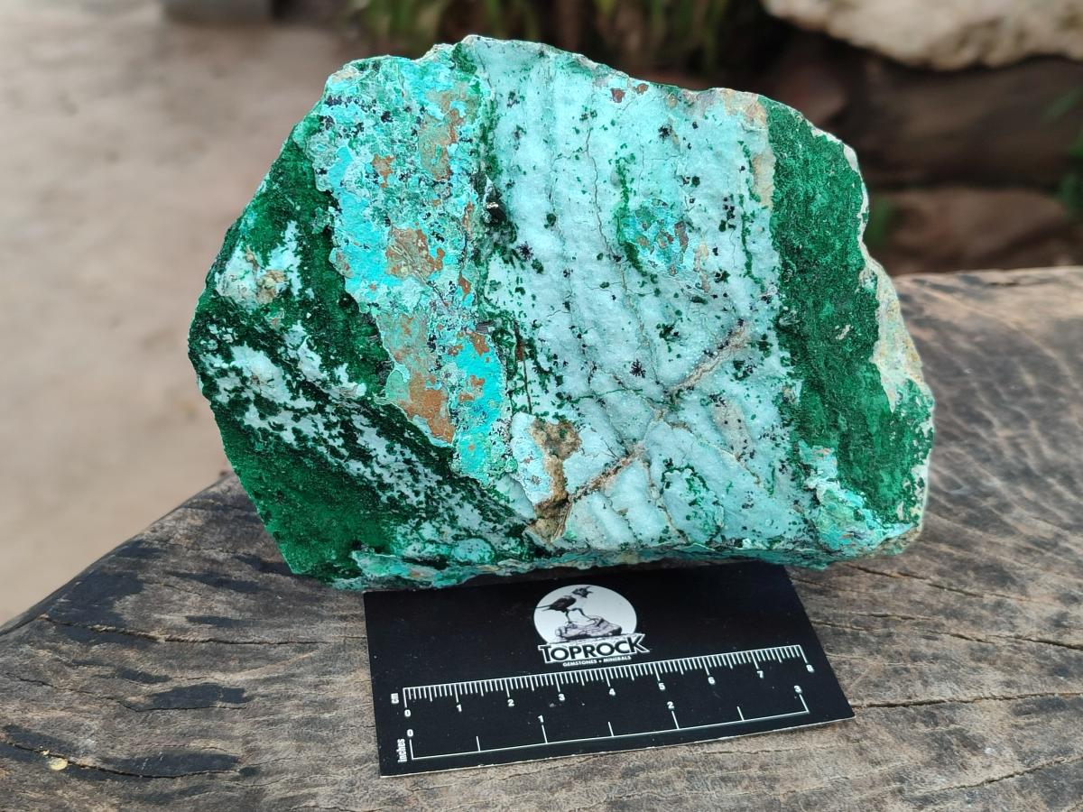 Natural Drusy Coated Chrysocolla with Malachite on Dolomite Specimens x 2 From Lupoto Mine, Congo