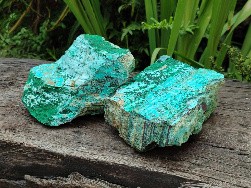 Natural Drusy Coated Chrysocolla with Malachite on Dolomite Specimens x 2 From Lupoto Mine, Congo