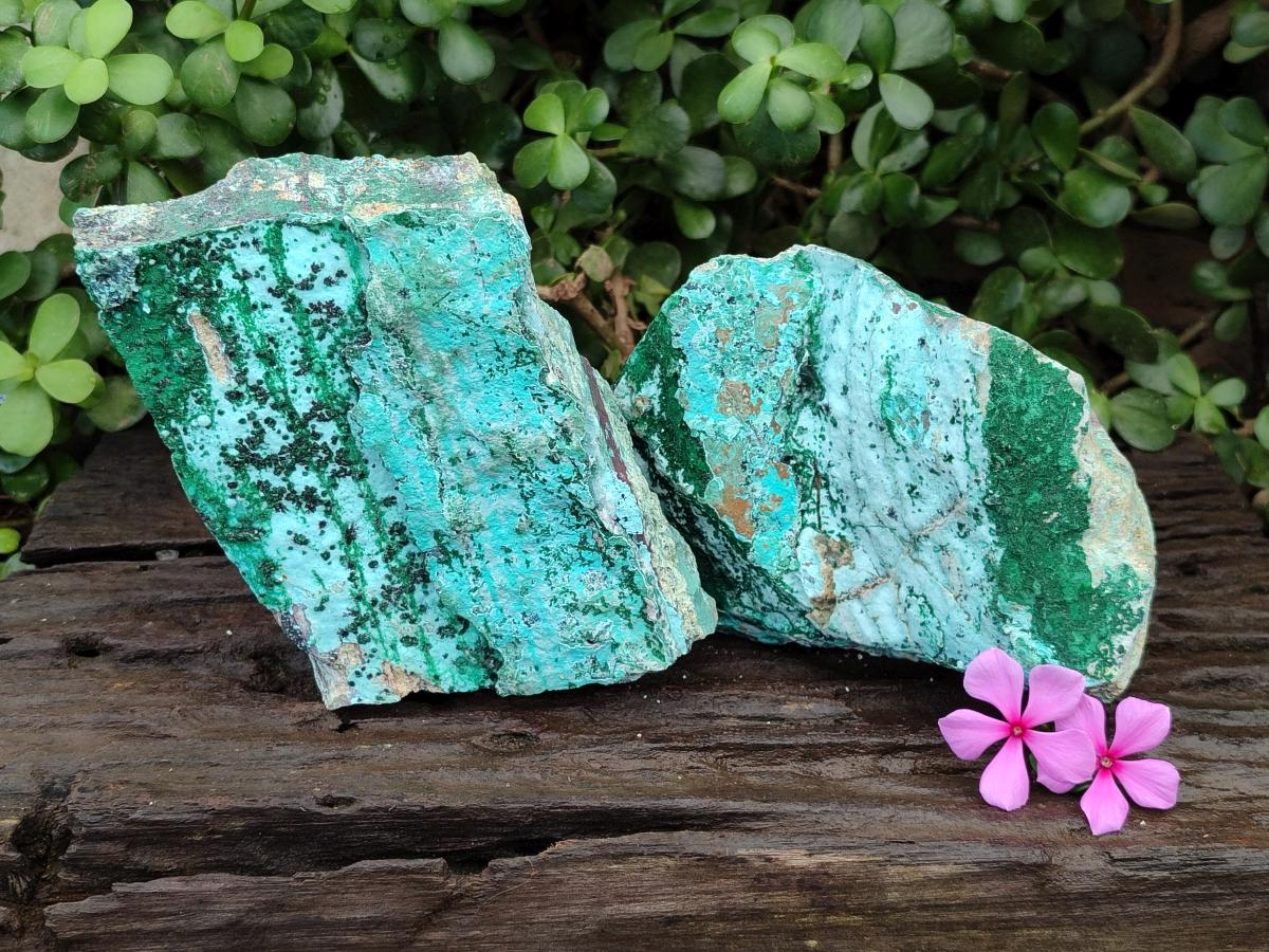 Natural Drusy Coated Chrysocolla with Malachite on Dolomite Specimens x 2 From Lupoto Mine, Congo