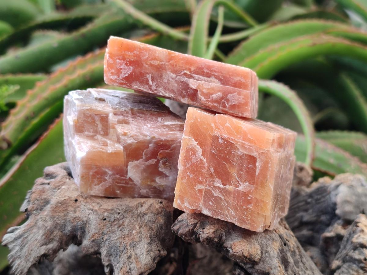 Natural Rhombohedral Sunset Orange Calcite Specimens x 12 From Spitzkop, Namibia