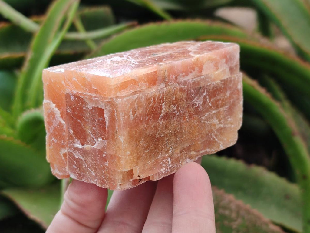 Natural Rhombohedral Sunset Orange Calcite Specimens x 12 From Spitzkop, Namibia