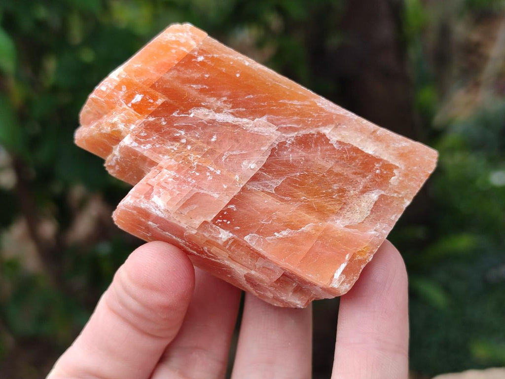 Natural Rhombohedral Sunset Orange Calcite Specimens x 12 From Spitzkop, Namibia