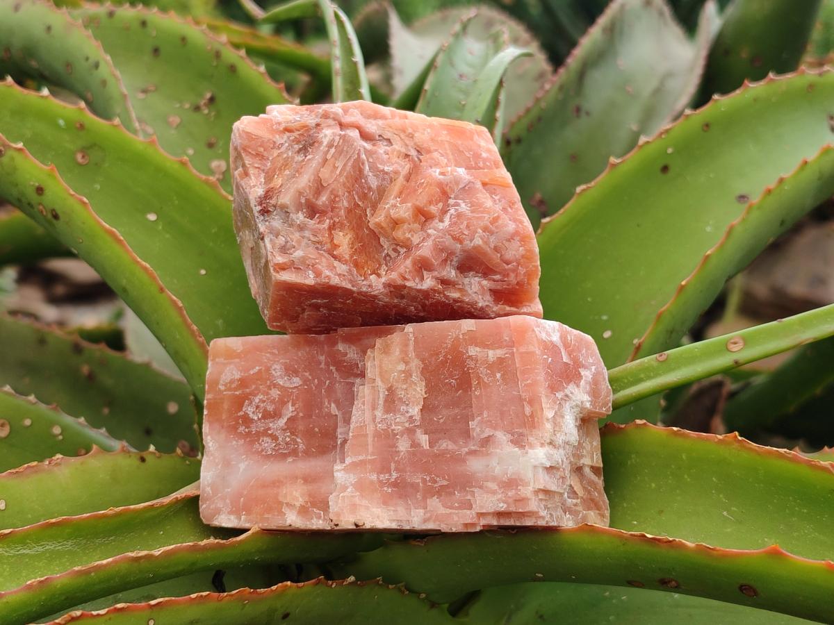 Natural Rhombohedral Sunset Orange Calcite Specimens x 12 From Spitzkop, Namibia