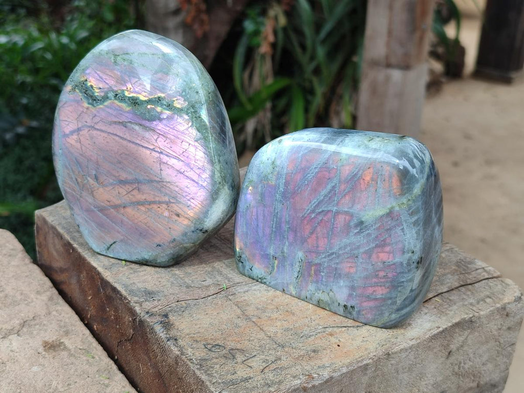 Polished Rare Purple Sunset Flash Labradorite Standing Free Forms x 2 From Madagascar