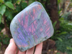 Polished Rare Purple Sunset Flash Labradorite Standing Free Forms x 2 From Madagascar