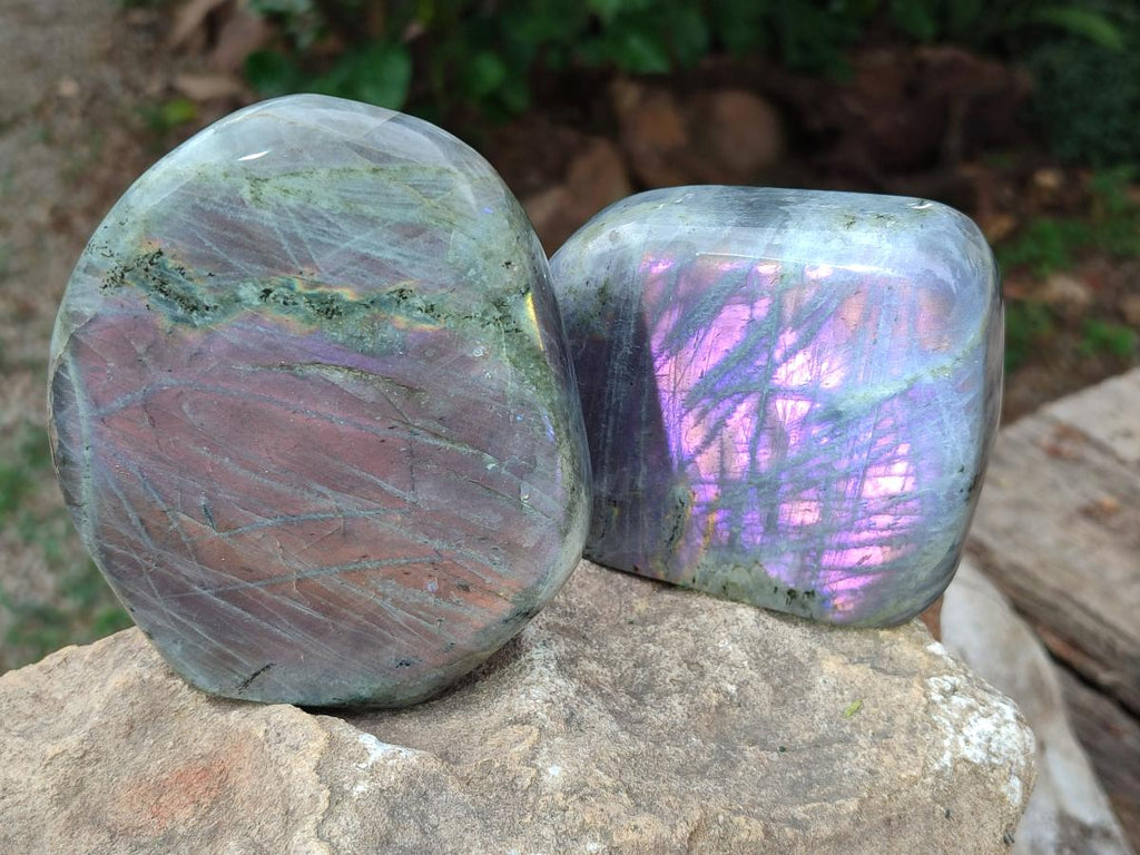 Polished Rare Purple Sunset Flash Labradorite Standing Free Forms x 2 From Madagascar