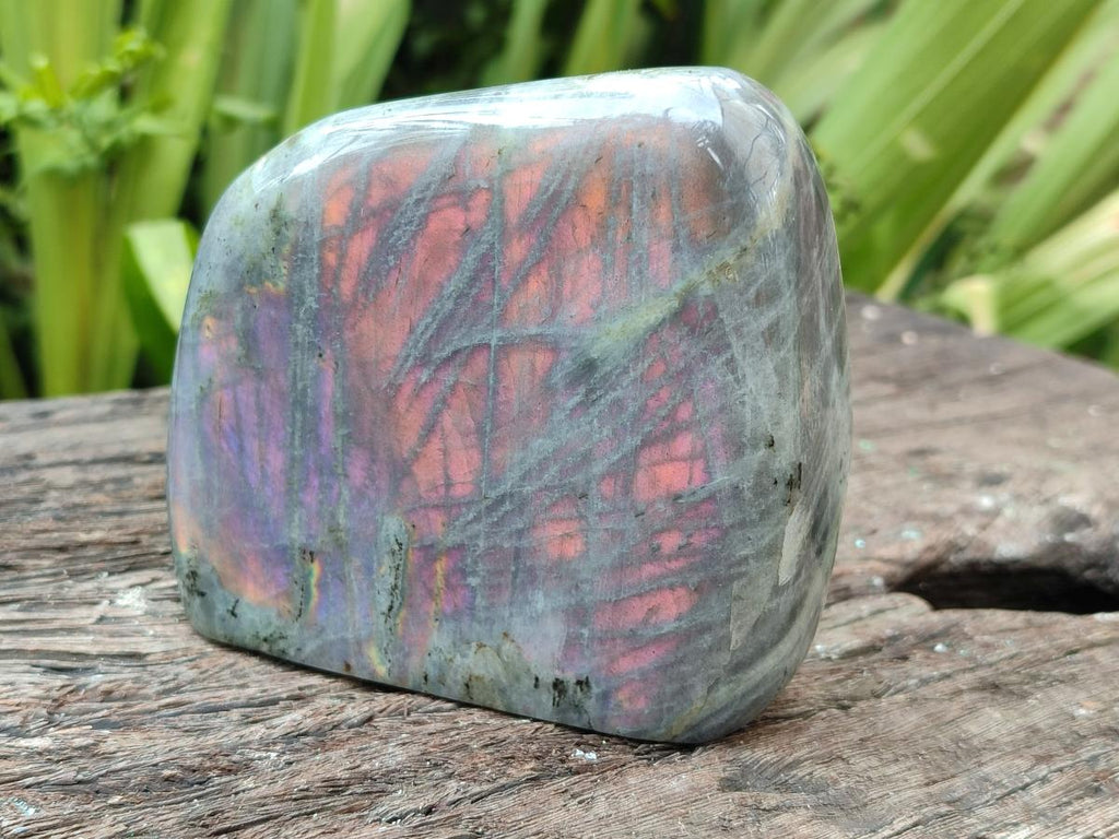 Polished Rare Purple Sunset Flash Labradorite Standing Free Forms x 2 From Madagascar