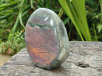 Polished Rare Purple Sunset Flash Labradorite Standing Free Forms x 2 From Madagascar