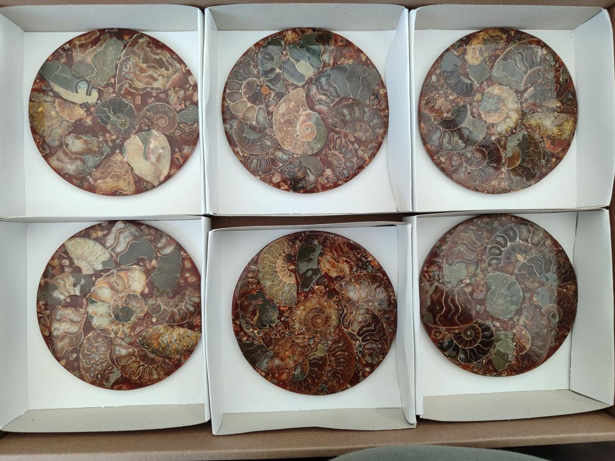 Hand Made Ammonite Conglomerate Coffee Table Coasters x 6 From Mahajanga, Madagascar - Toprock Gemstones and Minerals 