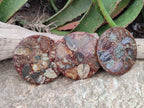 Hand Made Ammonite Conglomerate Coffee Table Coasters x 6 From Mahajanga, Madagascar - Toprock Gemstones and Minerals 
