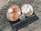 Polished Flower Agate Palm Stones x 12 From Antsahalova, Madagascar - Toprock Gemstones and Minerals 