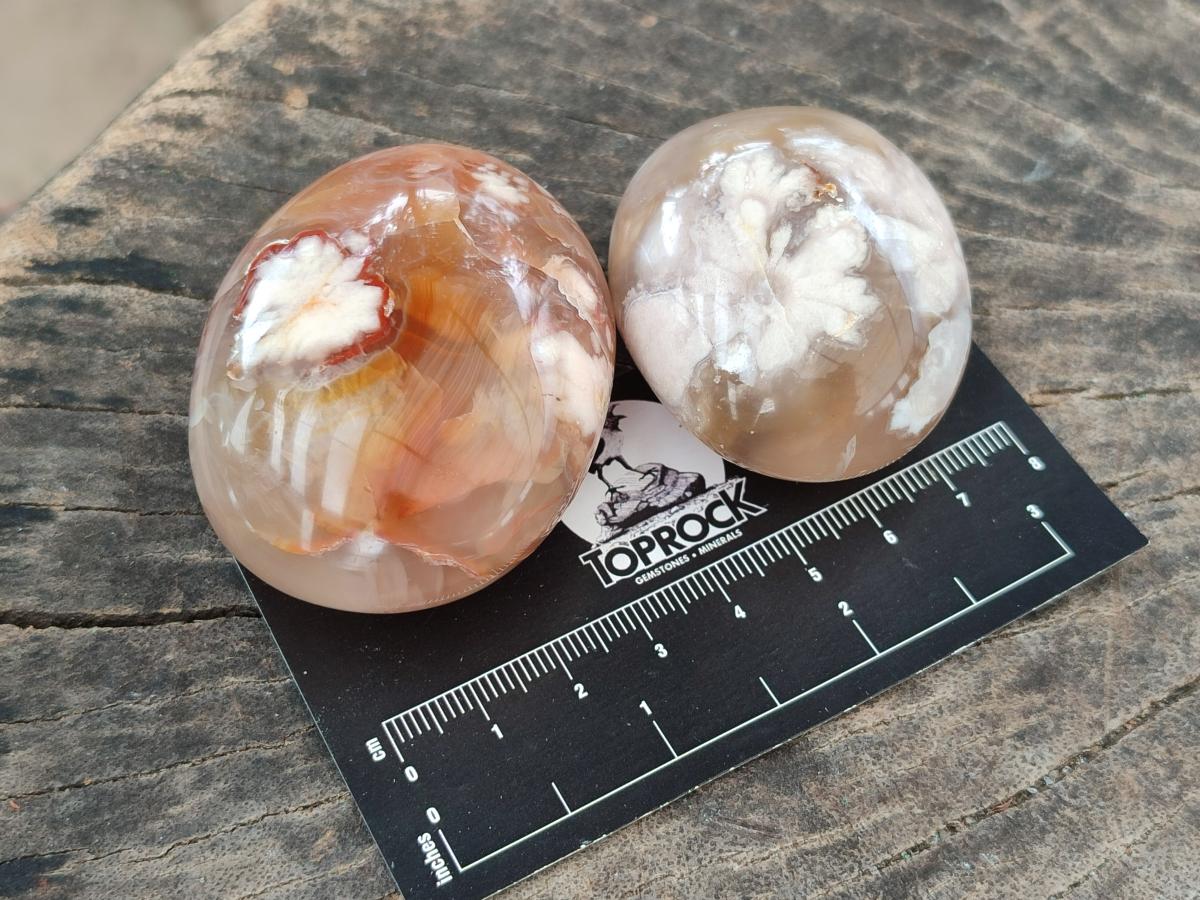 Polished Flower Agate Palm Stones x 12 From Antsahalova, Madagascar - Toprock Gemstones and Minerals 
