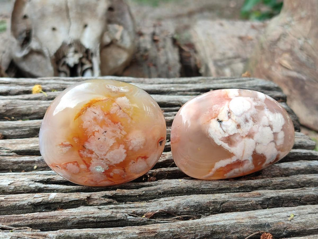 Polished Flower Agate Palm Stones x 12 From Antsahalova, Madagascar - Toprock Gemstones and Minerals 