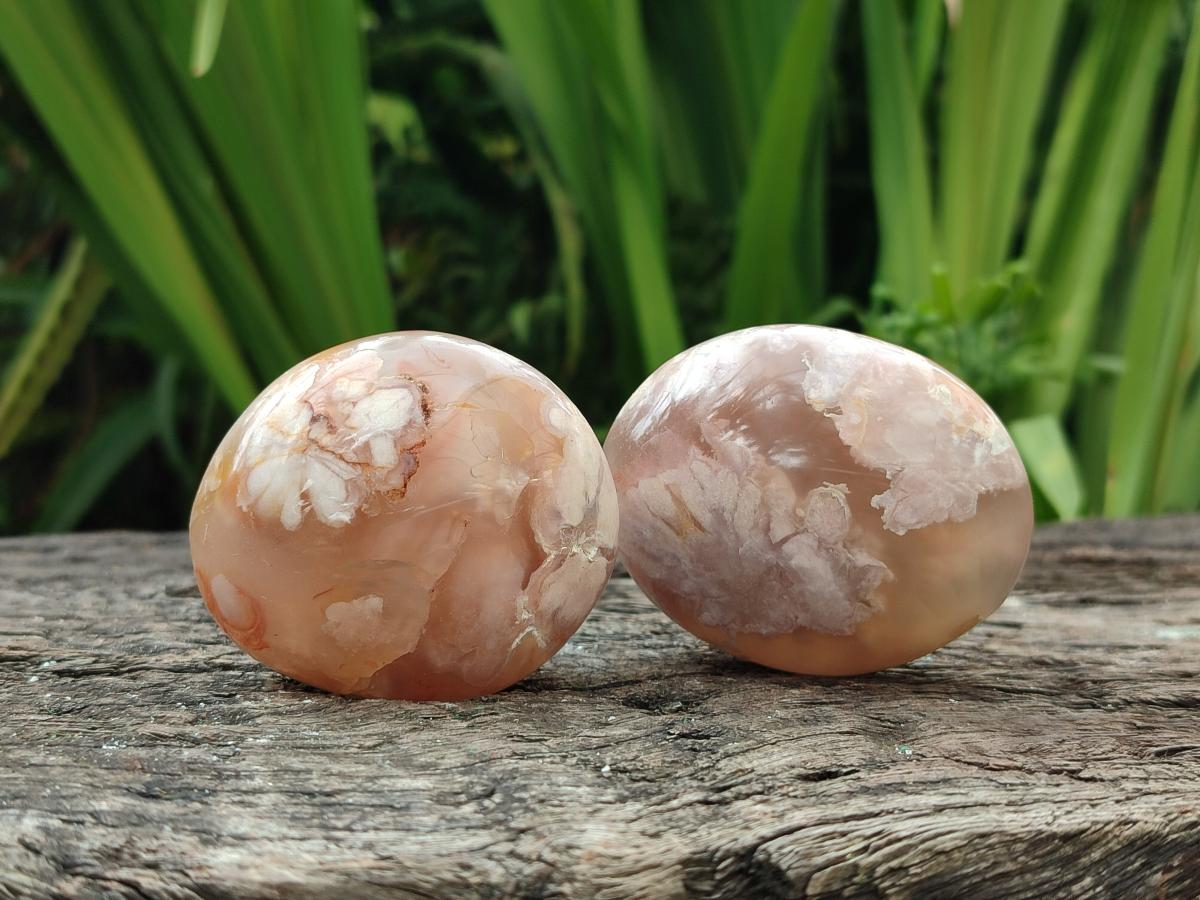 Polished Flower Agate Palm Stones x 12 From Antsahalova, Madagascar - Toprock Gemstones and Minerals 