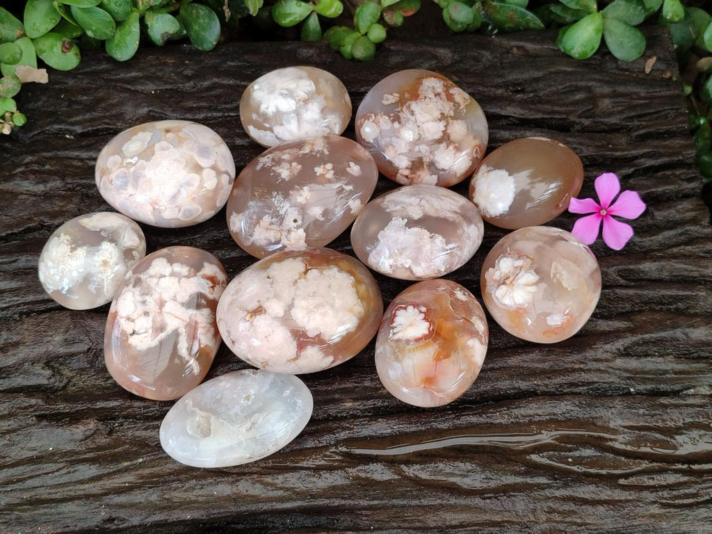 Polished Flower Agate Palm Stones x 12 From Antsahalova, Madagascar - Toprock Gemstones and Minerals 