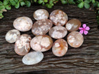 Polished Flower Agate Palm Stones x 12 From Antsahalova, Madagascar - Toprock Gemstones and Minerals 