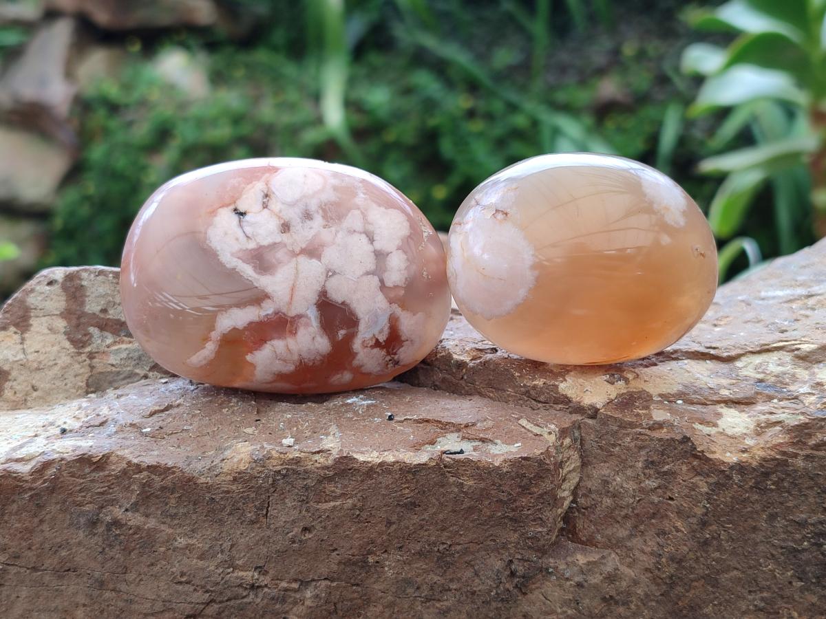 Polished Flower Agate Palm Stones x 12 From Antsahalova, Madagascar - Toprock Gemstones and Minerals 