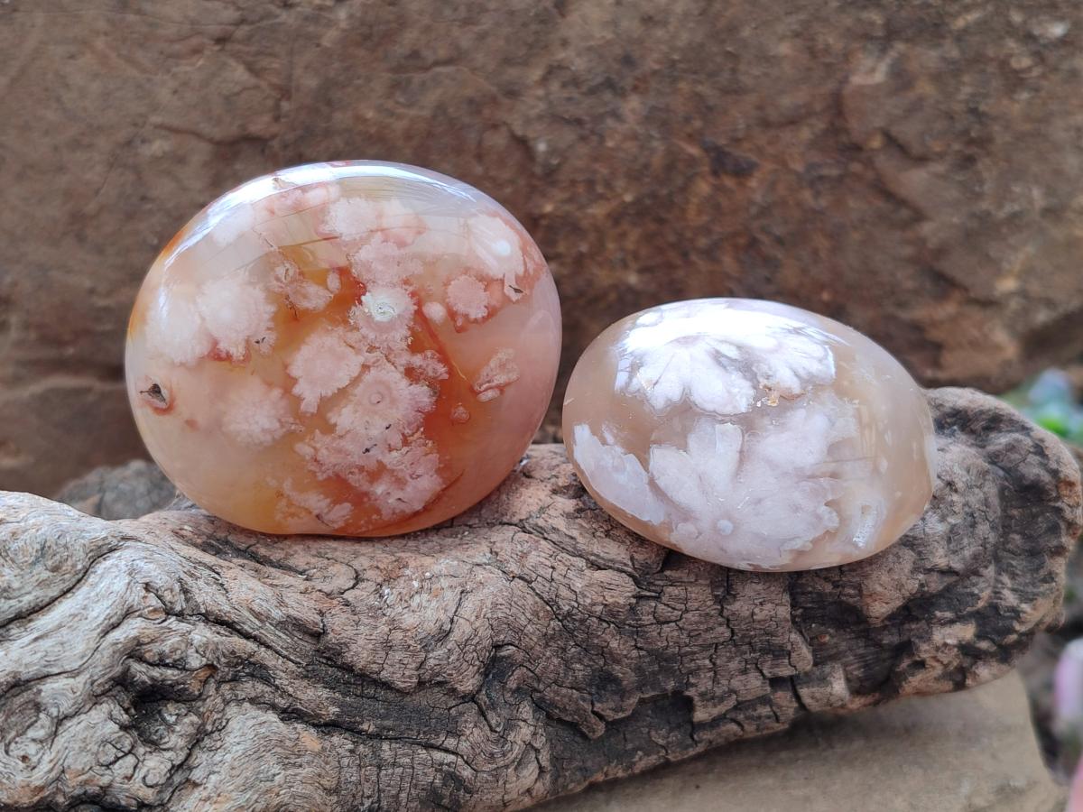 Polished Flower Agate Palm Stones x 12 From Antsahalova, Madagascar