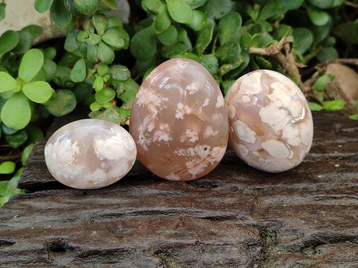 Polished Flower Agate Palm Stones x 12 From Antsahalova, Madagascar - Toprock Gemstones and Minerals 