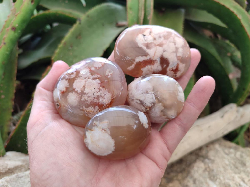 Polished Flower Agate Palm Stones x 12 From Antsahalova, Madagascar - Toprock Gemstones and Minerals 