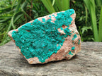 Natural Large Dioptase on Dolomite Specimen x 1 From Likasi, Congo
