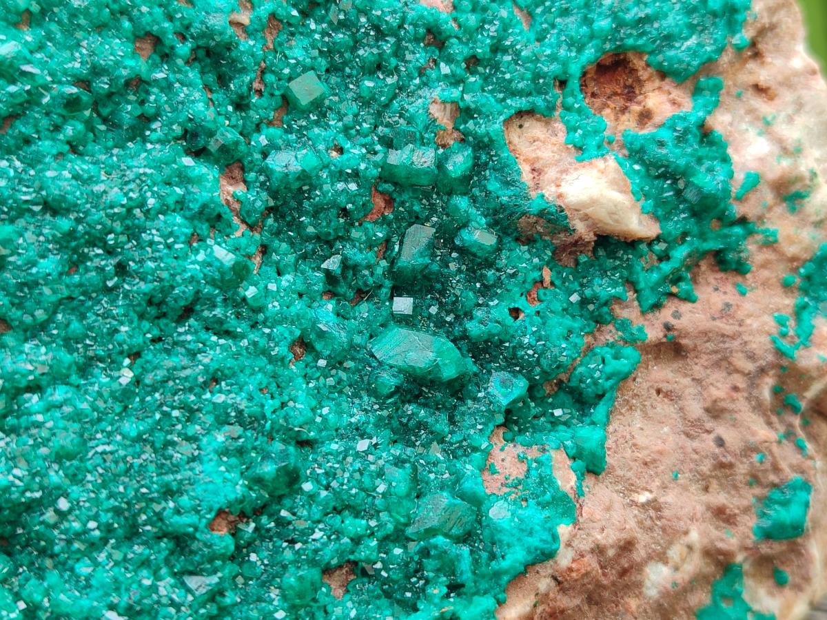 Natural Large Dioptase on Dolomite Specimen x 1 From Likasi, Congo