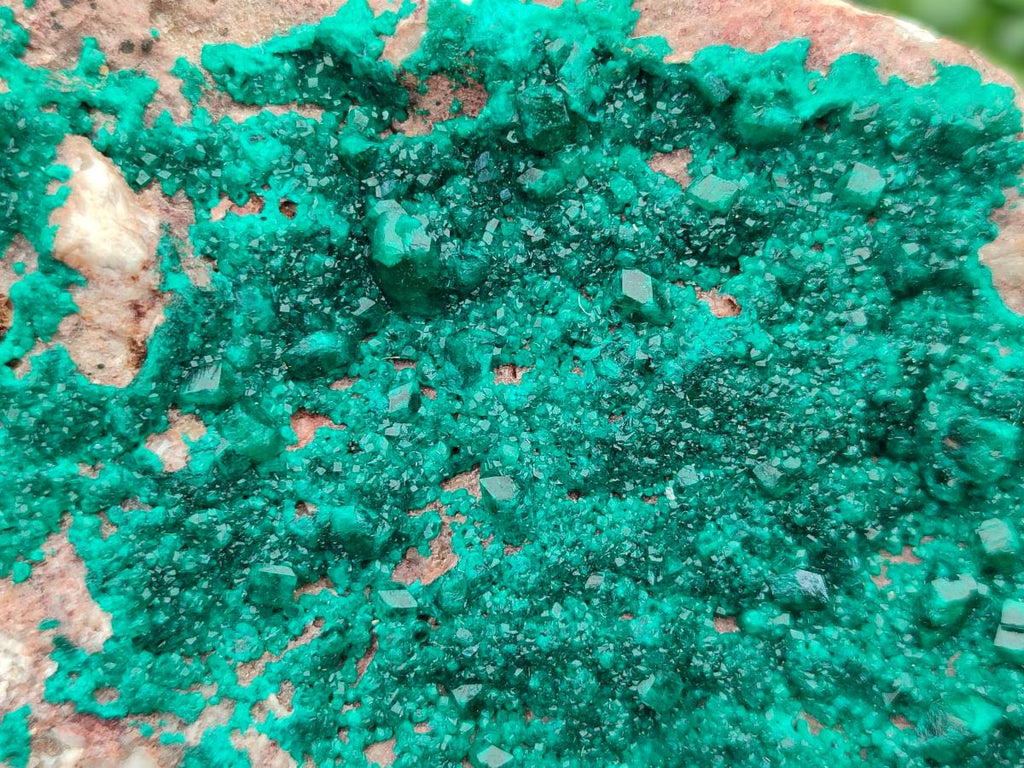 Natural Large Dioptase on Dolomite Specimen x 1 From Likasi, Congo