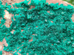 Natural Large Dioptase on Dolomite Specimen x 1 From Likasi, Congo