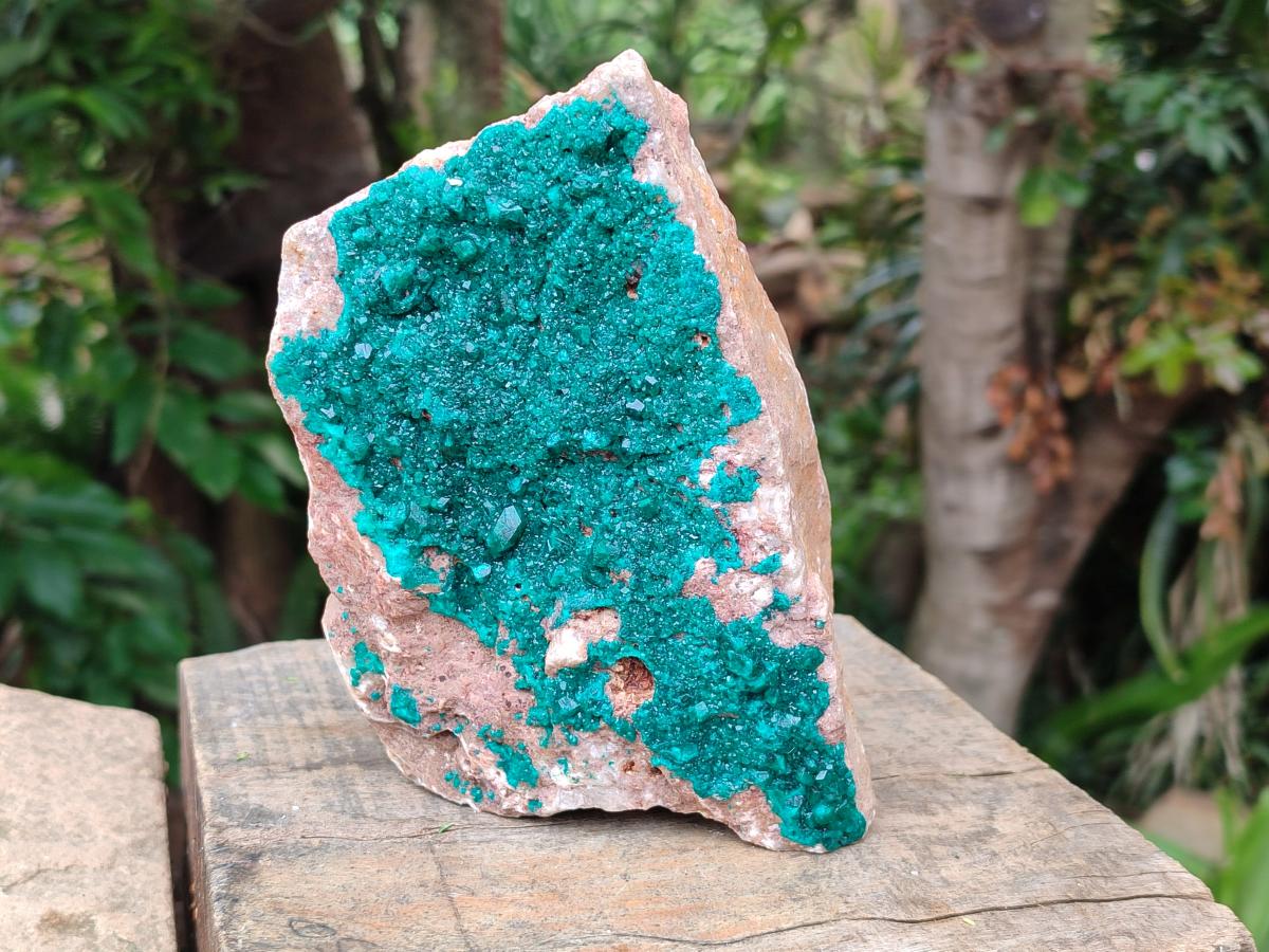 Natural Large Dioptase on Dolomite Specimen x 1 From Likasi, Congo