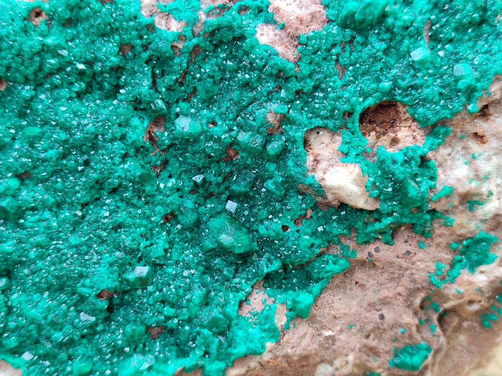 Natural Large Dioptase on Dolomite Specimen x 1 From Likasi, Congo