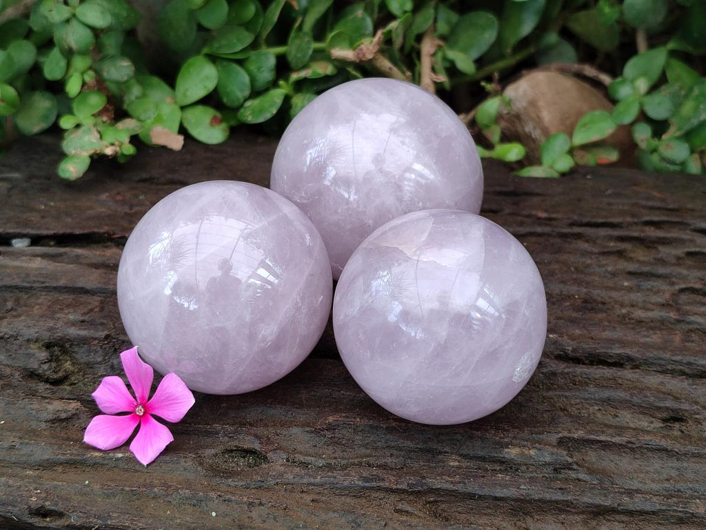 Polished Gemmy Star Blue Rose Quartz Spheres x 3 From Madagascar