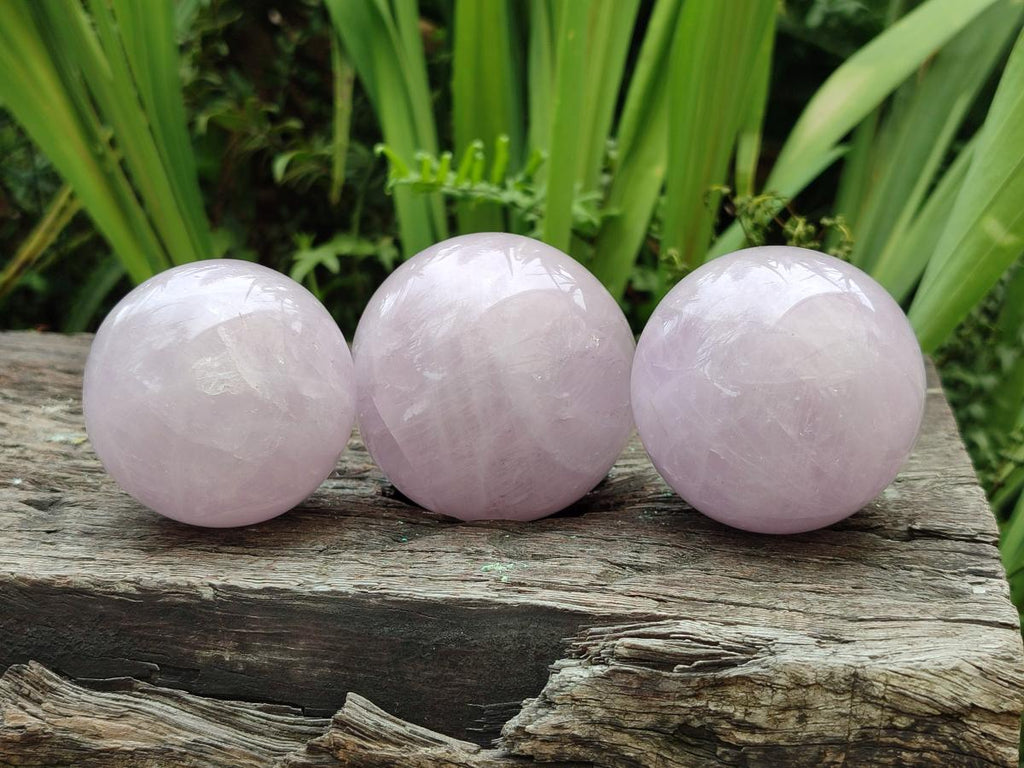 Polished Gemmy Star Blue Rose Quartz Spheres x 3 From Madagascar