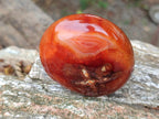 Polished Carnelian Agate Gemstone Galets x 12 From Madagascar
