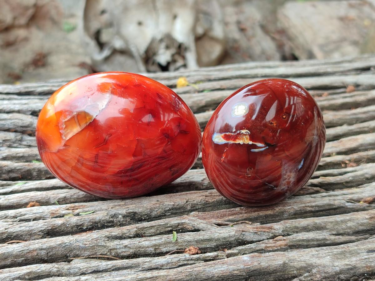 Polished Carnelian Agate Gemstone Galets x 12 From Madagascar