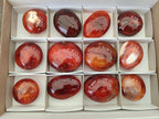 Polished Carnelian Agate Gemstone Galets x 12 From Madagascar