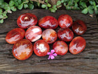Polished Carnelian Agate Gemstone Galets x 12 From Madagascar