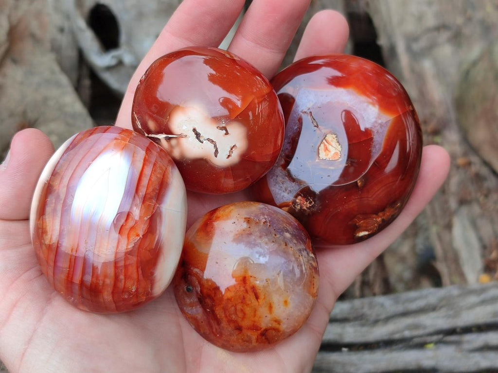 Polished Carnelian Agate Gemstone Galets x 12 From Madagascar