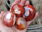 Polished Carnelian Agate Gemstone Galets x 12 From Madagascar