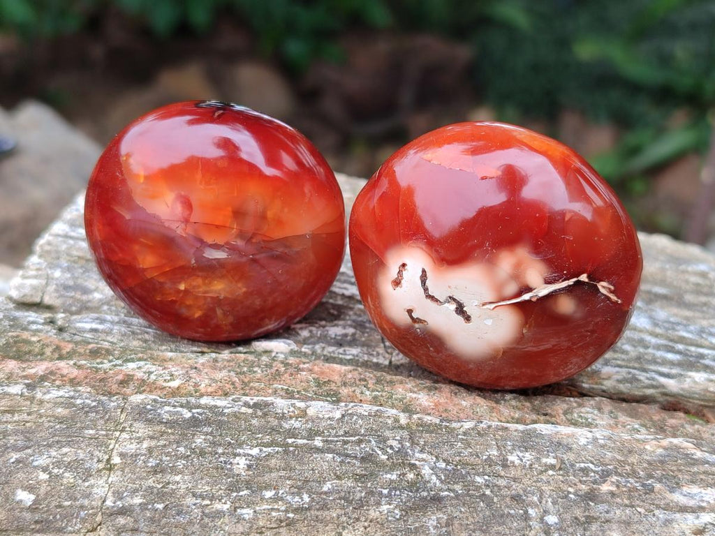 Polished Carnelian Agate Gemstone Galets x 12 From Madagascar