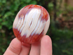 Polished Carnelian Agate Gemstone Galets x 12 From Madagascar