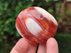 Polished Carnelian Agate Gemstone Galets x 12 From Madagascar