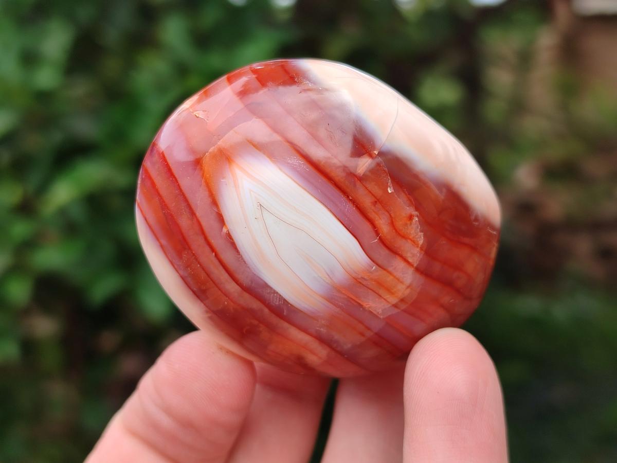 Polished Carnelian Agate Gemstone Galets x 12 From Madagascar