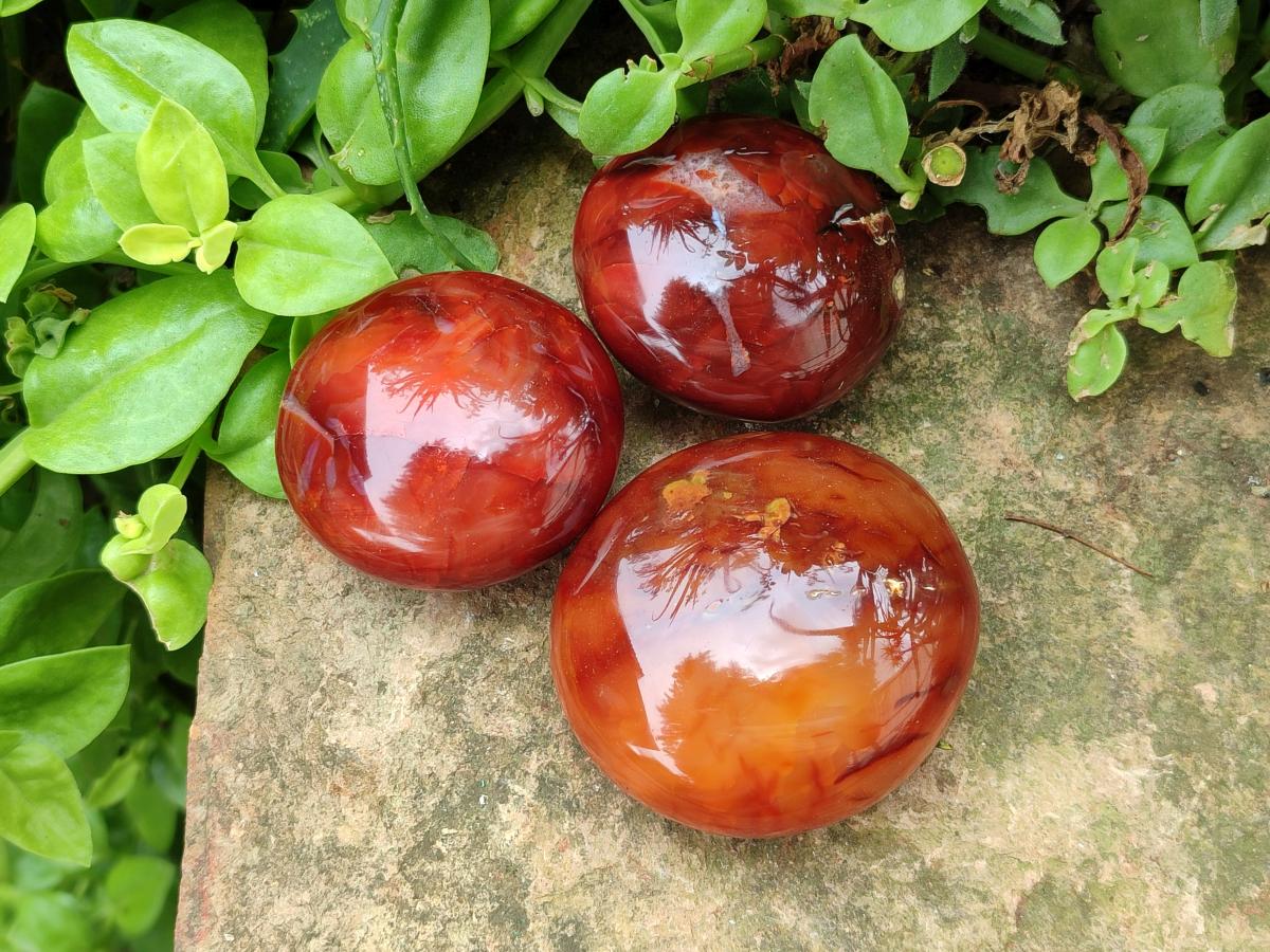 Polished Carnelian Agate Gemstone Galets x 12 From Madagascar
