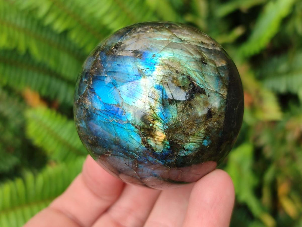 Polished Labradorite Spheres x 4 From Madagascar