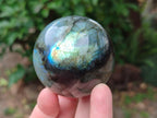 Polished Labradorite Spheres x 4 From Madagascar