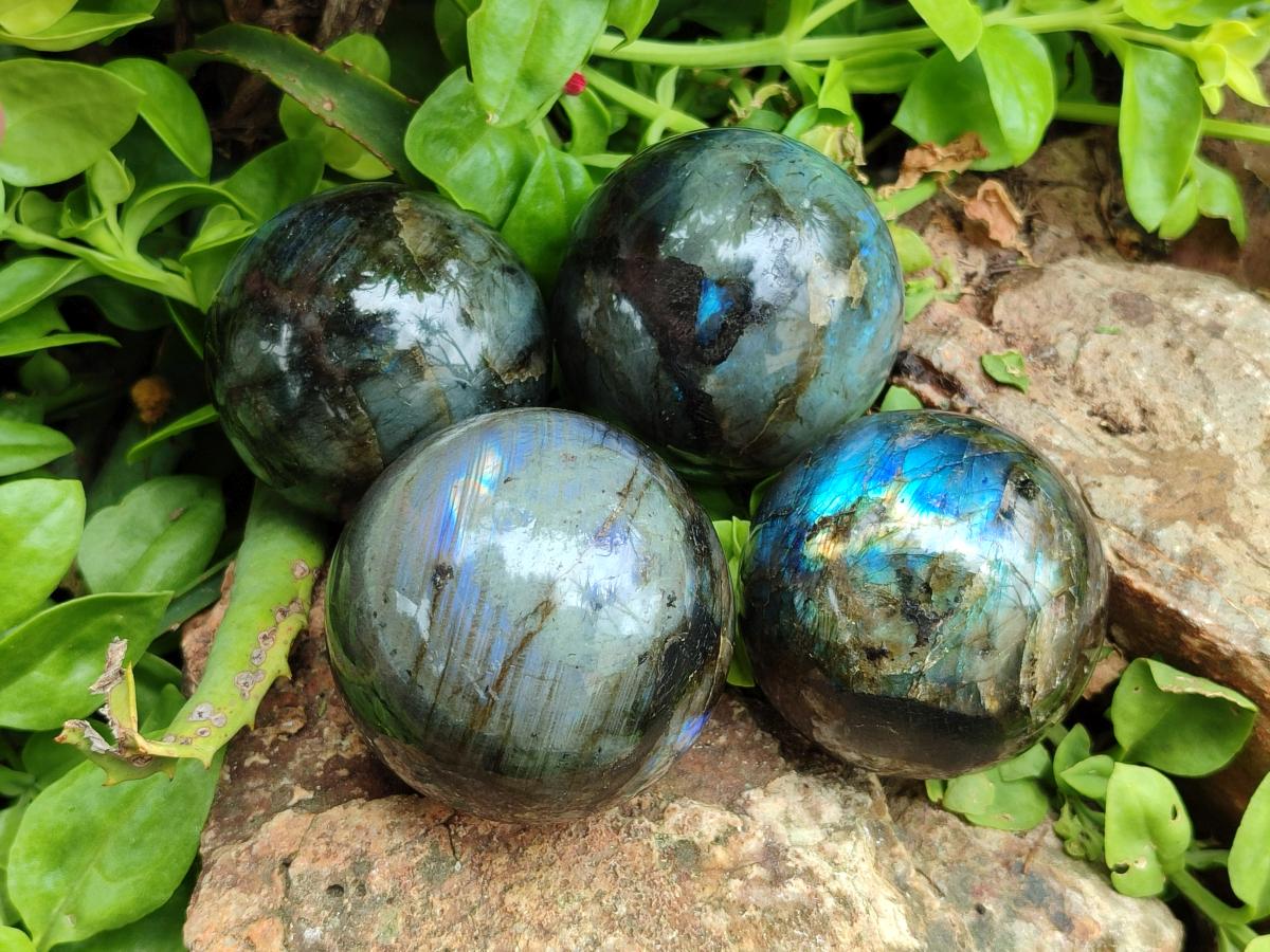 Polished Labradorite Spheres x 4 From Madagascar