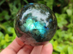 Polished Labradorite Spheres x 4 From Madagascar