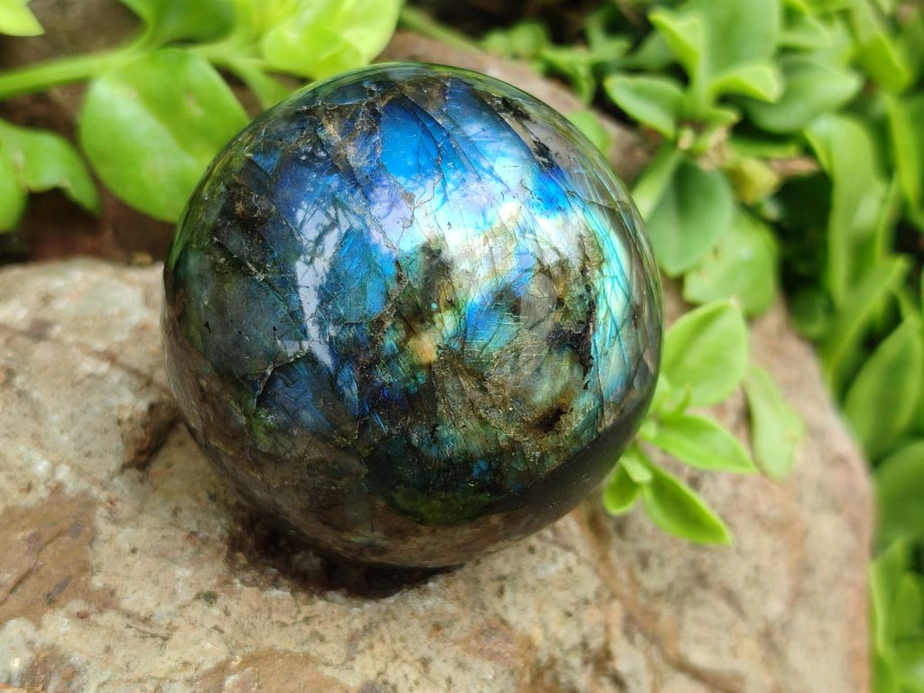 Polished Labradorite Spheres x 4 From Madagascar