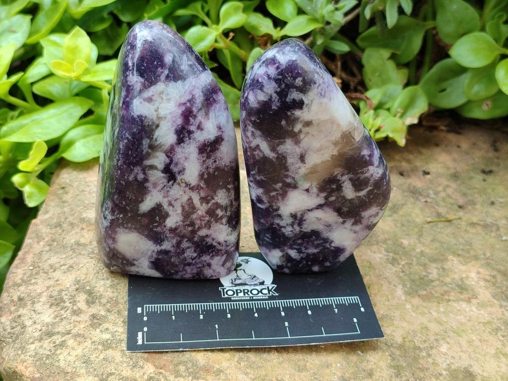 Polished Lepidolite Free Forms x 6 From Zimbabwe