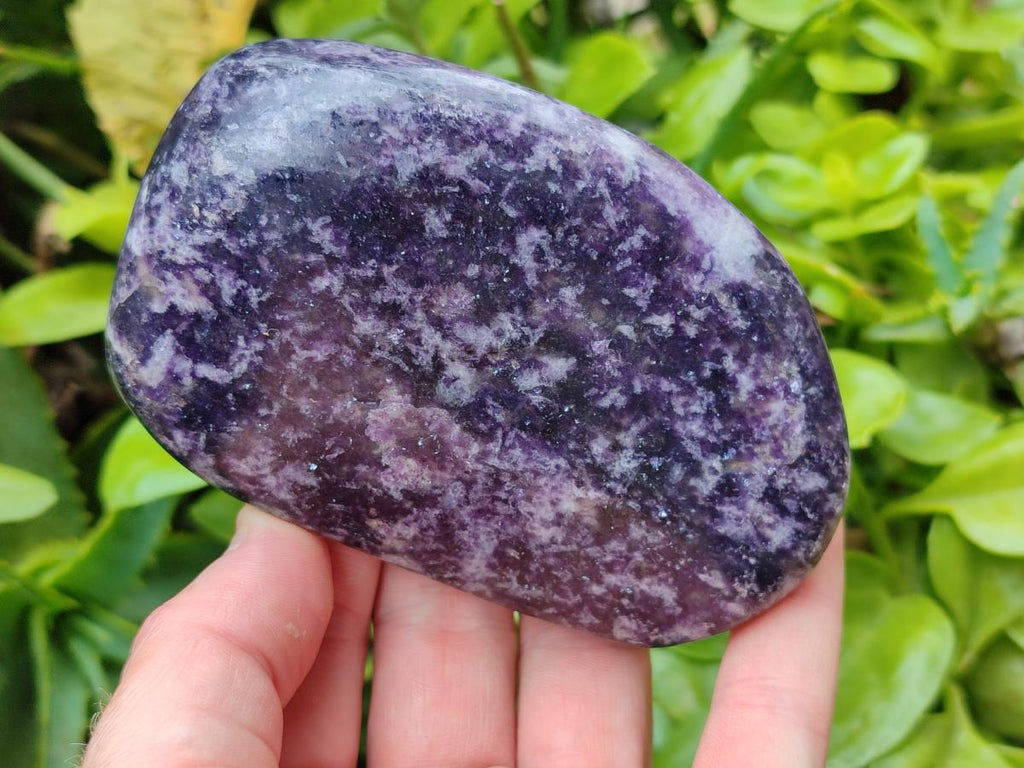 Polished Lepidolite Free Forms x 6 From Zimbabwe